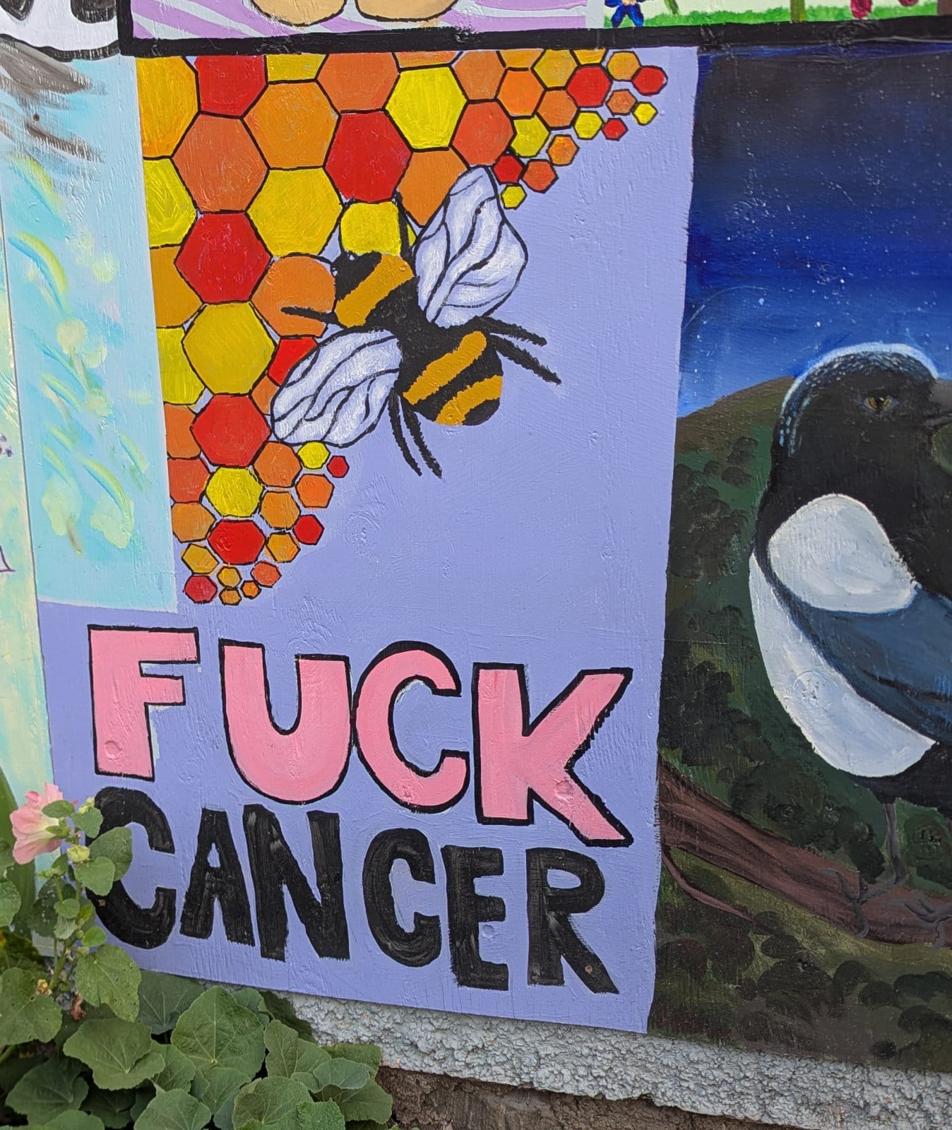 Honeycomb and Fuck Cancer